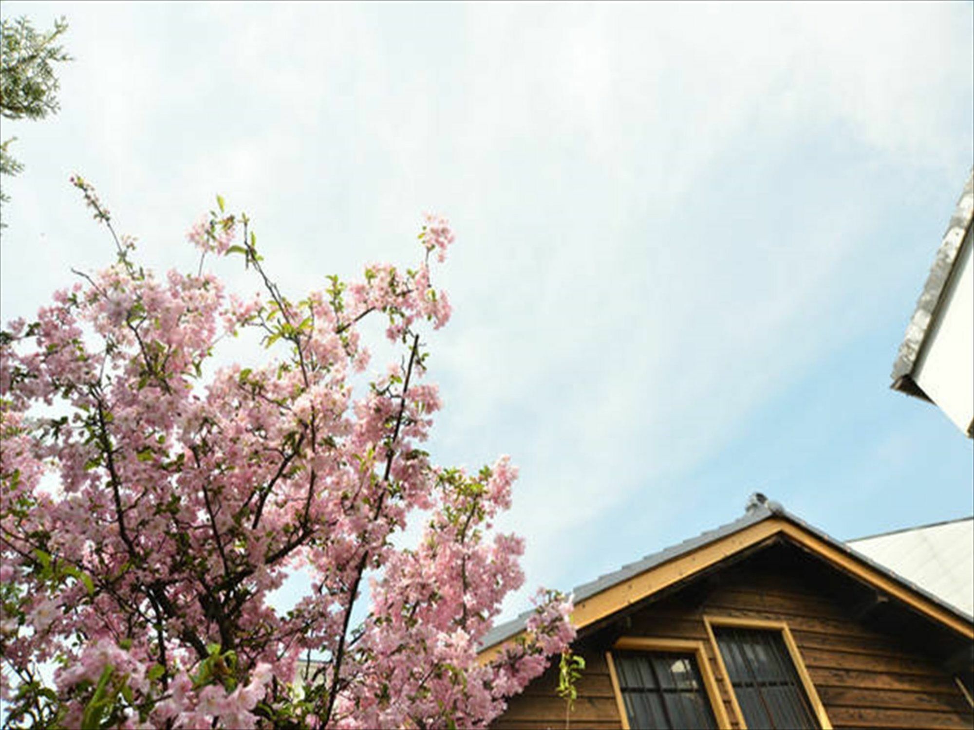 お宿梅夜guesthouse Umeya Kyoto Bagian luar foto